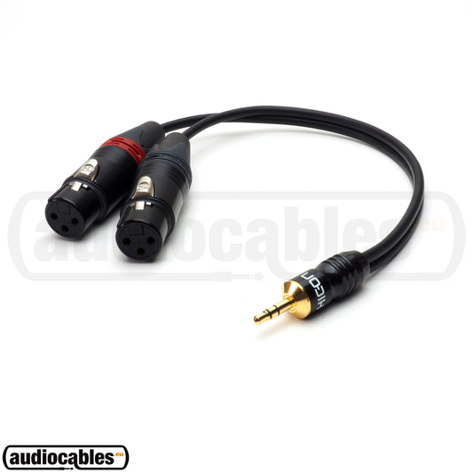 Sommer Cable w/ Hicon Mini Jack to 2 Neutrik Female XLR
