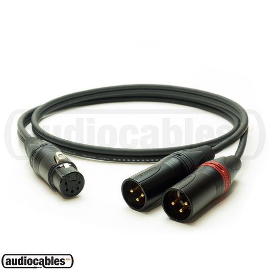 Mogami 3106 Stereo Y Microphone Cable w/ Gold Neutrik XLR Connectors